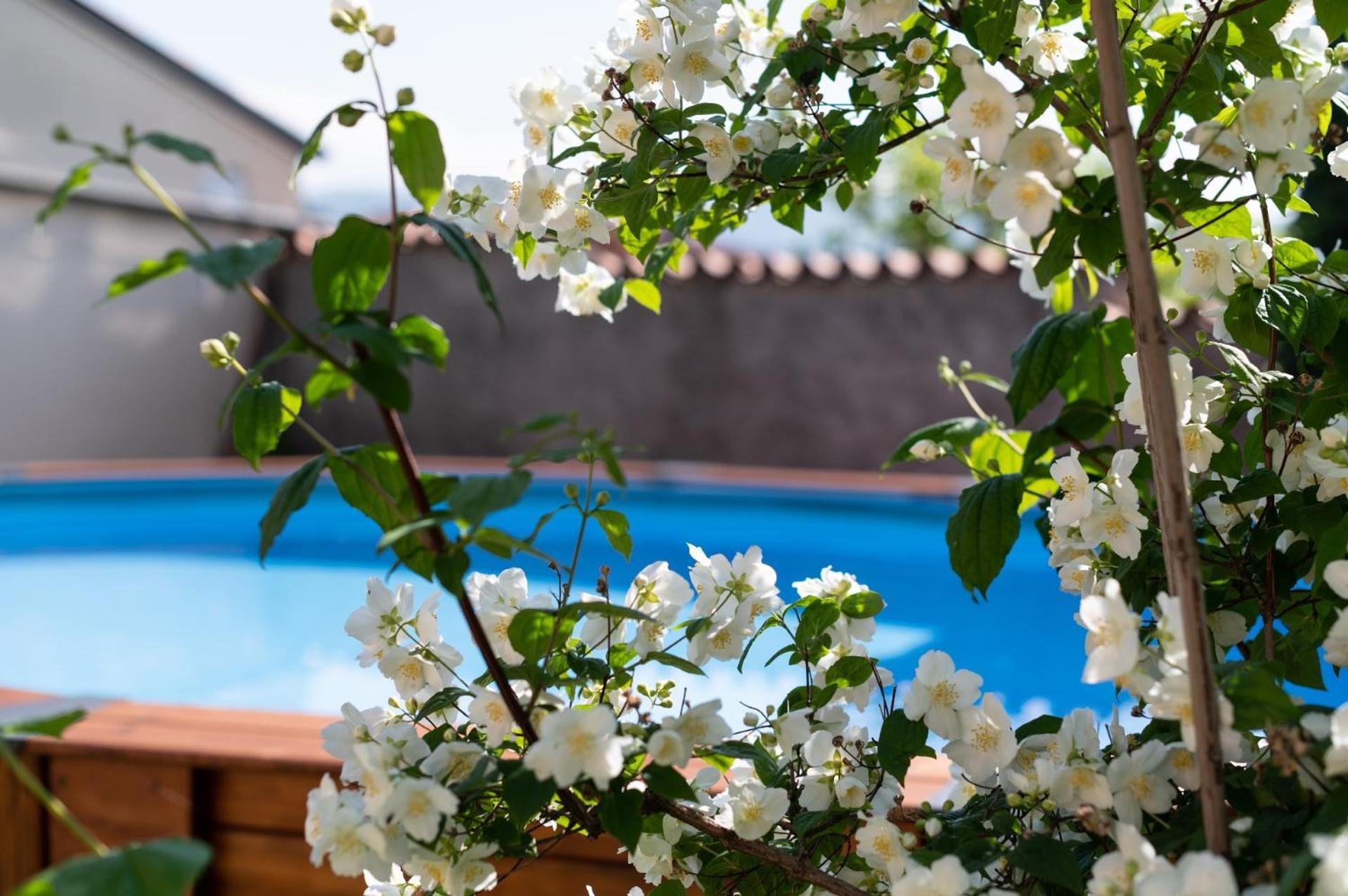 Agriturismo El Crear San Pietro in Cariano Exterior foto